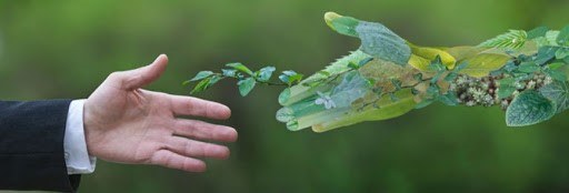 Imagen alegórica de la implicación del ser humano por la conservación de la Naturaleza