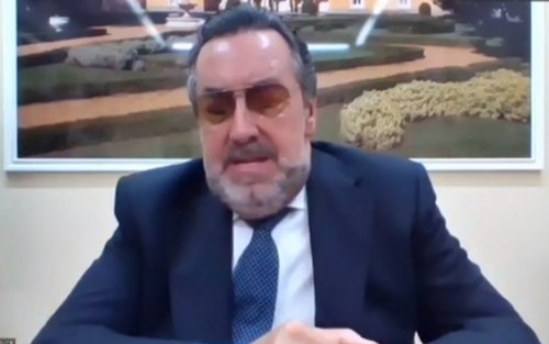 Carballeda durante un momento de su participación en la Asamblea del Consejo de Europa
