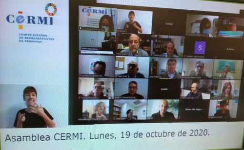 Captura de pantalla de un momento de la Asamblea virtual del CERMI