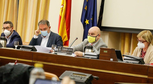 Luis Cayo Pérez, en el centro de la Mesa de comparecientes, durante la reunión parlamentaria
