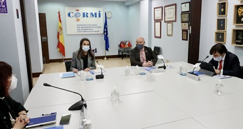 Momento de la reunión con la reina en la sede del CERMI