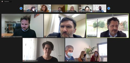 Pantallazo del webinar celebrado a finales de enero