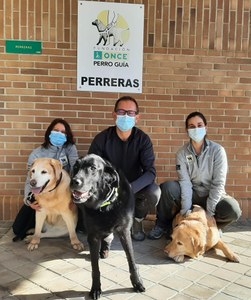 Rafael Alameda flanqueado por Susana Bravo y Claudia Simón con los perros guía jubilados Ubay, Horca y Hony