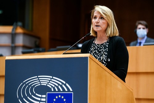 Rosa Estarás durante su petición en la sede del Parlamento Europeo