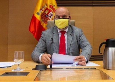 Luis Cayo Pérez en una comparecencia en el Congreso