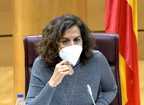 Irene Lozano durante su comparecencia en el Senado