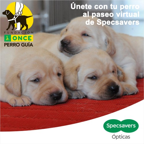 Campaña de Specsavers