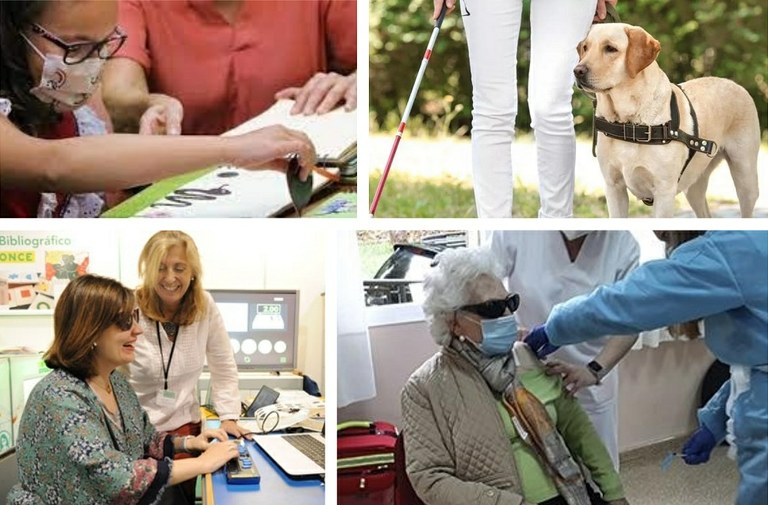 Collage con imágenes referentes a mayores afiliados, perros guía, educación y empleo para personas afiliadas