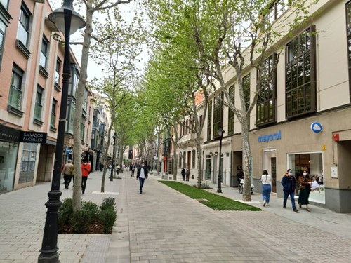 Peatonalización de las calles Calatrava y Toledo