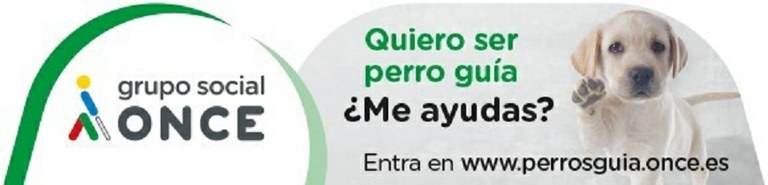 Banner de la campaña