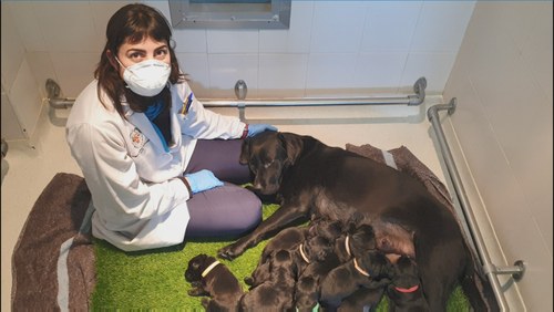 Una de las cuidadoras de la FOPG junto a una de las camadas más recientes