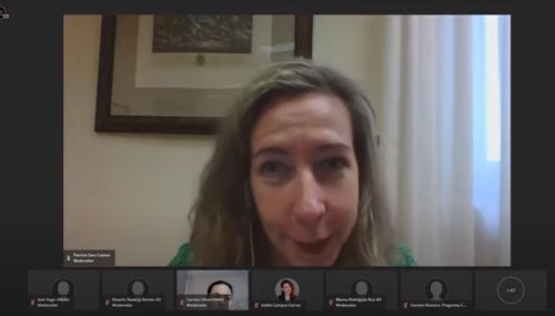 Patricia Sanz durante su intervención en las Jornadas de la Universidad de Sevilla