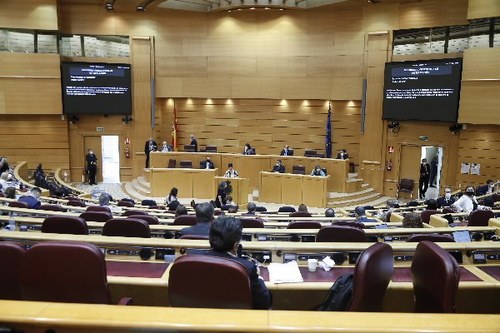 Imagen del Pleno del Senado en el transcurso de la emisión de la declaración
