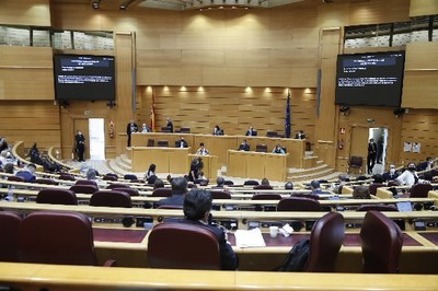 Imagen del Pleno del Senado en el transcurso de la emisión de la declaración