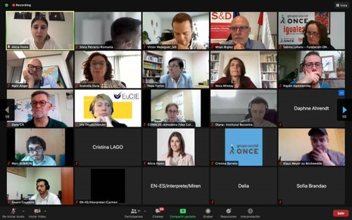 Pantallazo de la reunión con los europarlamentarios de la red D-WISE