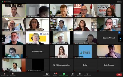 Pantallazo de la reunión con los europarlamentarios de la red D-WISE