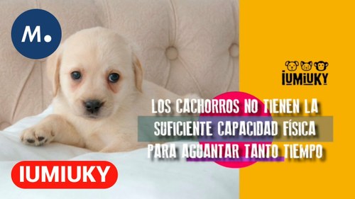 Diapositiva con un consejo informativo del programa IUMIUKY