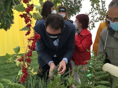 El alcalde de Palencia durante la experiencia del Túnel de los sentidos