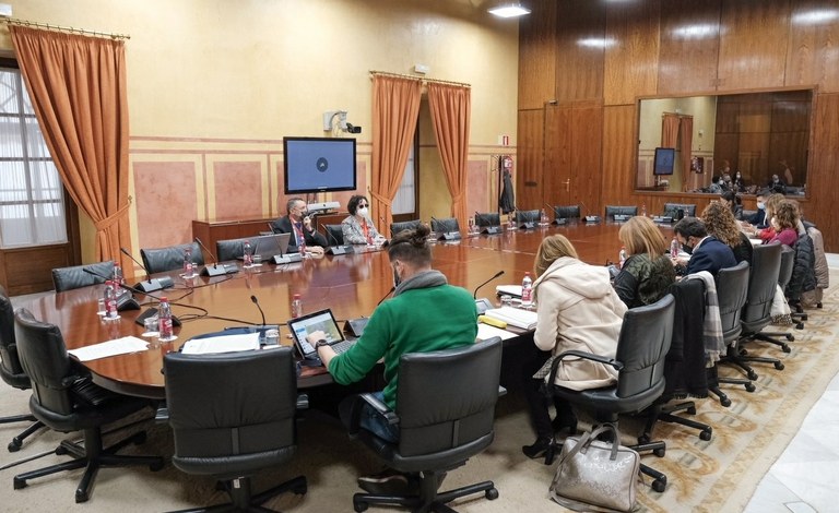 Momento de la comparencia de Martínez y Viruet en la Comisión parlamentaria