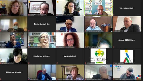 Pantallazo de la conferencia Cermi Territorios