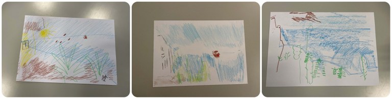 Collage con varios de los dibujos realizados