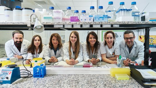 Equipo investigador del IMOMA