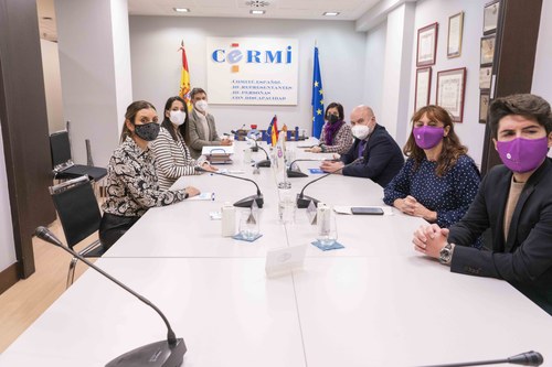 Reunión entre las representantes políticas y del CERMI