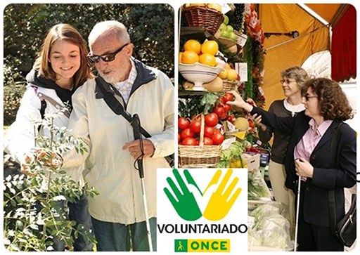 Collage con varias acciones de Voluntariado