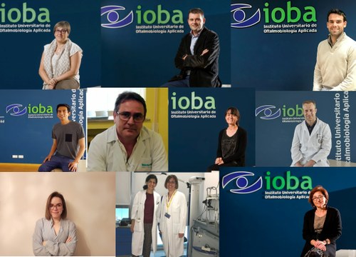 Equipo de investigadores del IOBA