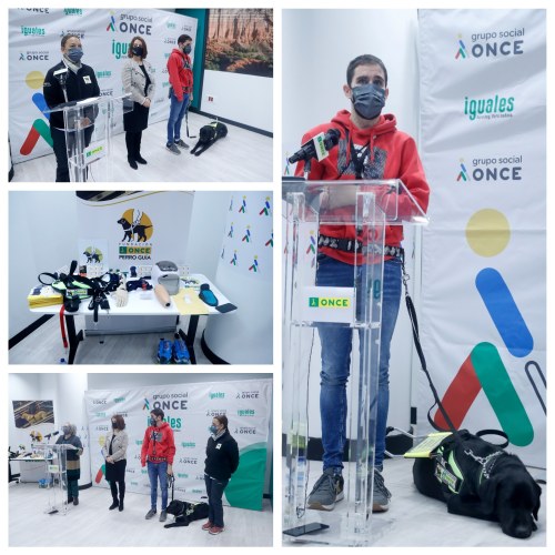 Collage con varios momentos de la presentación