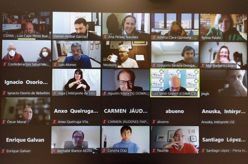 Reunión del Comité Ejecutivo del CERMI