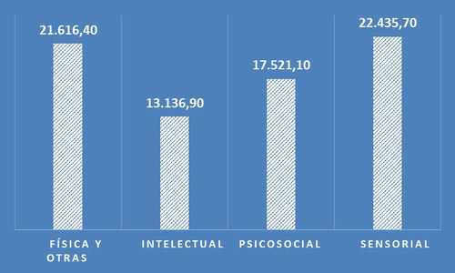 Gráfica sobre empleo por tipos de discapacidad