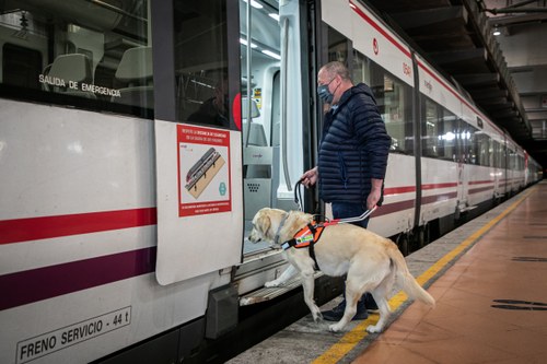 Usuario y perro guía accediendo a un tren