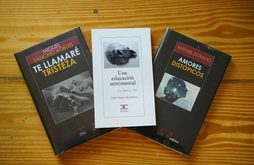 Portadas de los libros ganadores publicados