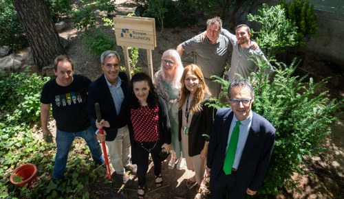 Momento de la plantación de los ejemplares