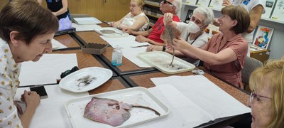 Momento del taller organizado por la ONCE y  el IEO