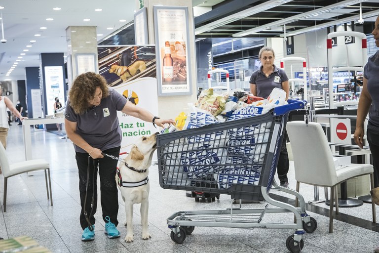 Momento de la exhibición en El Corte Inglés de San Chinarro