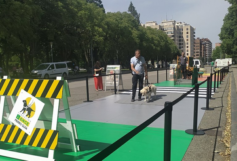 Exhibición en Pamplona