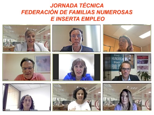 Pantallazo del webinar entre Inserta y  la Federación de Familias Numerosas