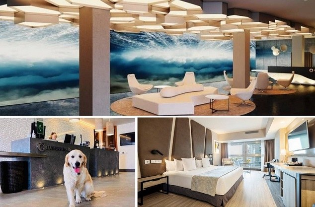Arriba, interior del hotel Ilunion San Mamés. Abajo, mascota en uno de los horteles Ilunion, y a la derecha habitación del Ilunion Málaga