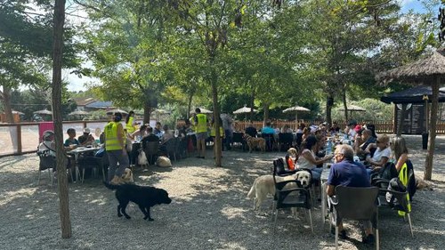Jornada de perros guía en el parque acuático