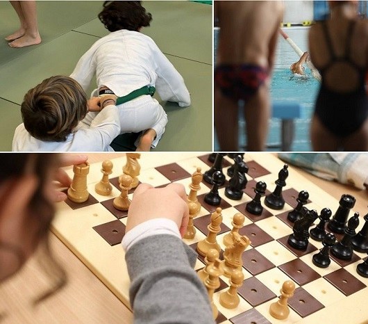 Colage de imágenes con los escolares practicando judo, natación y ajedrez