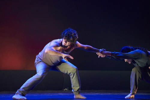 Un momento del Festival de la pasada edición