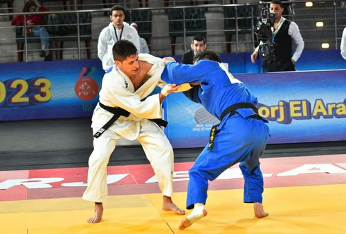 Gavilán en combate