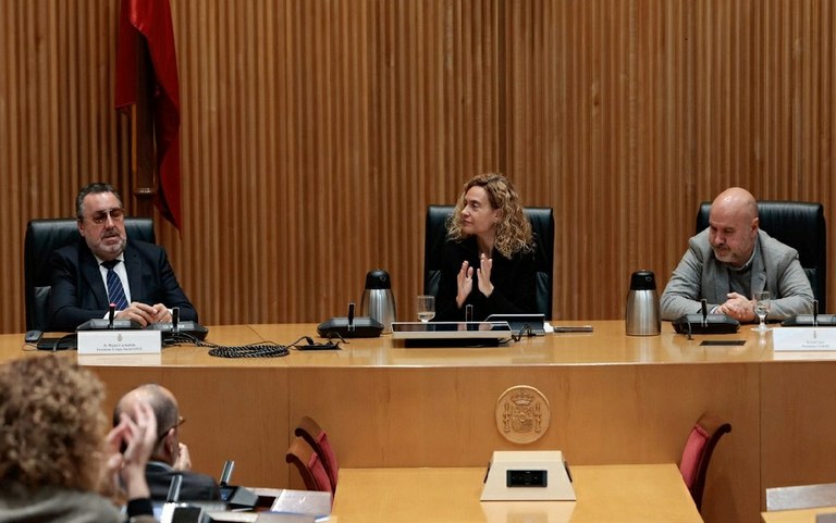 Miguel Carballeda, Meritxell Batet y Luis Cayo Pérez