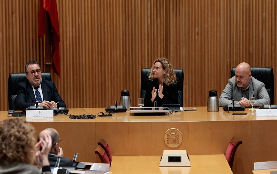 Miguel Carballeda, Meritxell Batet y Luis Cayo Pérez