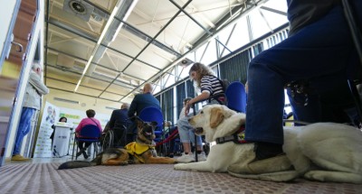 Familias educadoras junto a los futuros perros