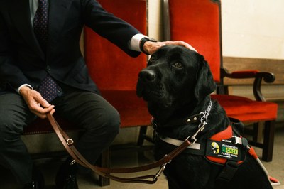 Luis Gonzaga de Oro Pulido acaricia la cabeza de su perro guía Pusky