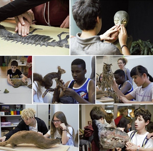 Collage de imágenes de la visita al Museo de CCNN