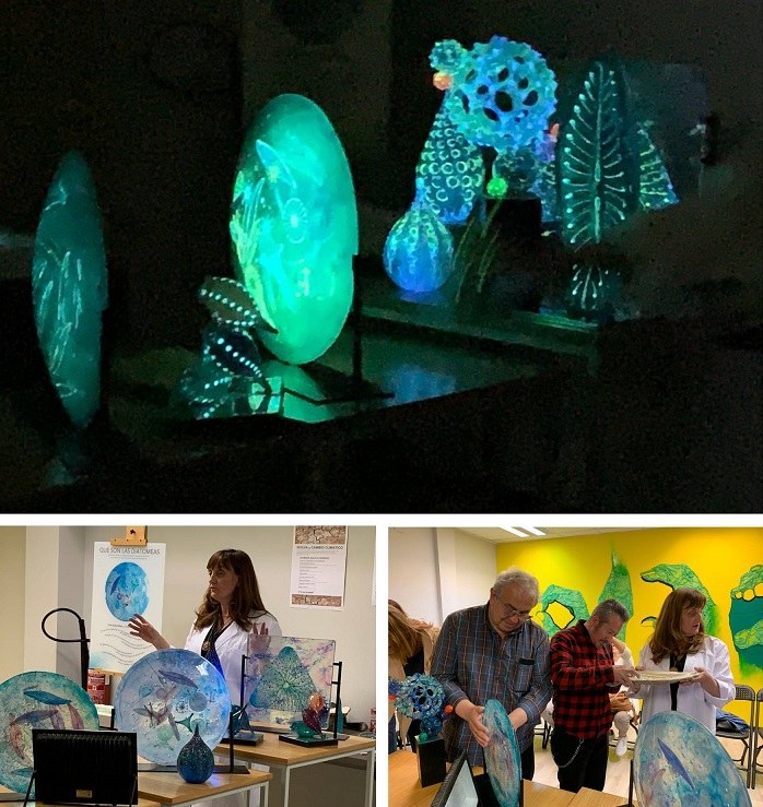 Collage de la actividad de las Diatomeas, que se iluminan en la oscuridad
